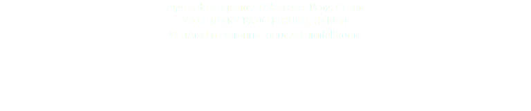 Figure de reliquaire, XIXe siècle, Fang, Gabon RELIQUARY FANG FIGURE, GABON © DAmiEn Perronnet pour ArtDigitalStudio 