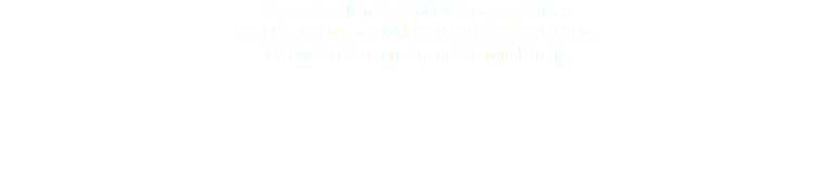 Figure de reliquaire, Kota Mahongwe, Gabon KOTA MAHONGWE RELIQUARY FIGURE, GABON © DAmiEn Perronnet pour ArtDigitalStudio 