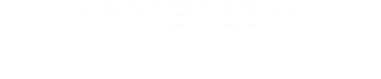 Statue janiforme, Songye, République Démocratique du Congo SONGYE JANIFORM FIGURE, DEMOCRATIC REPUBLIC OF THE CONGO © DAmiEn Perronnet pour ArtDigitalStudio 