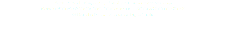 Statue Nkonde, Kongo-Vili, République Démocratique du Congo KONGO-VILI NKONDE FIGURE, DEMOCRATIC REPUBLIC OF THE CONGO © DAmiEn Perronnet pour ArtDigitalStudio 