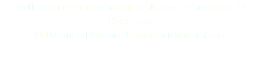 Collection des cartes miltaires du duc de Luynes et de Chevreuse. © DAmiEn Perronnet pour ArtDigitalStudio